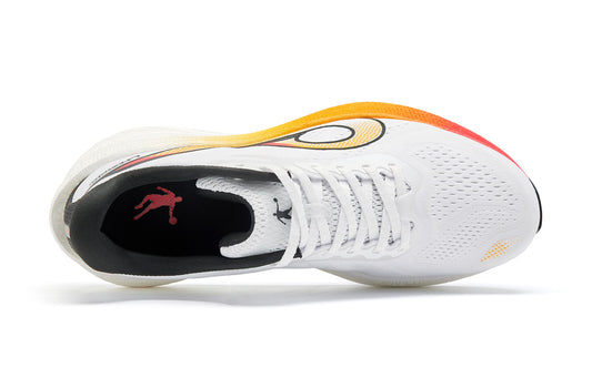 LH600 ‘qiaodan blanc noir’