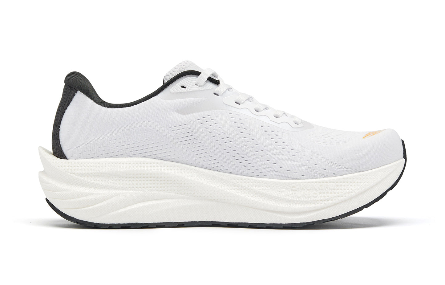 LH600 ‘qiaodan blanc noir’