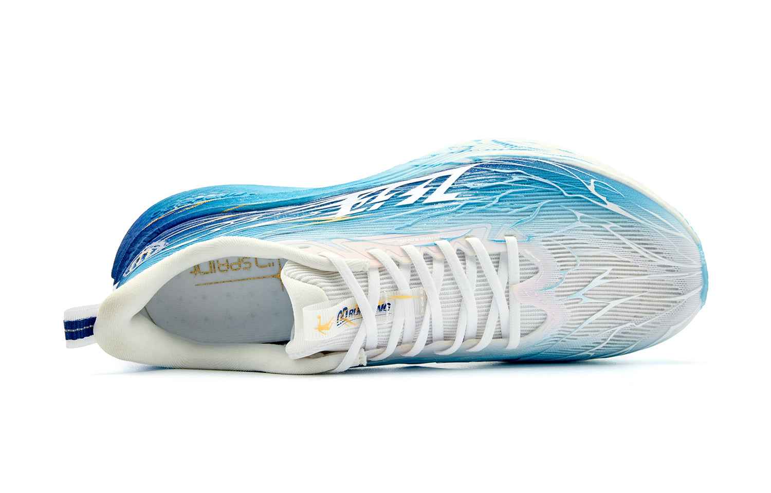 Rapid 4.0 Men's Running Shoes "Neptune"