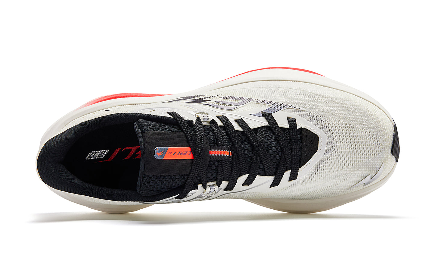 THUNDER 1.0 'Brave'
