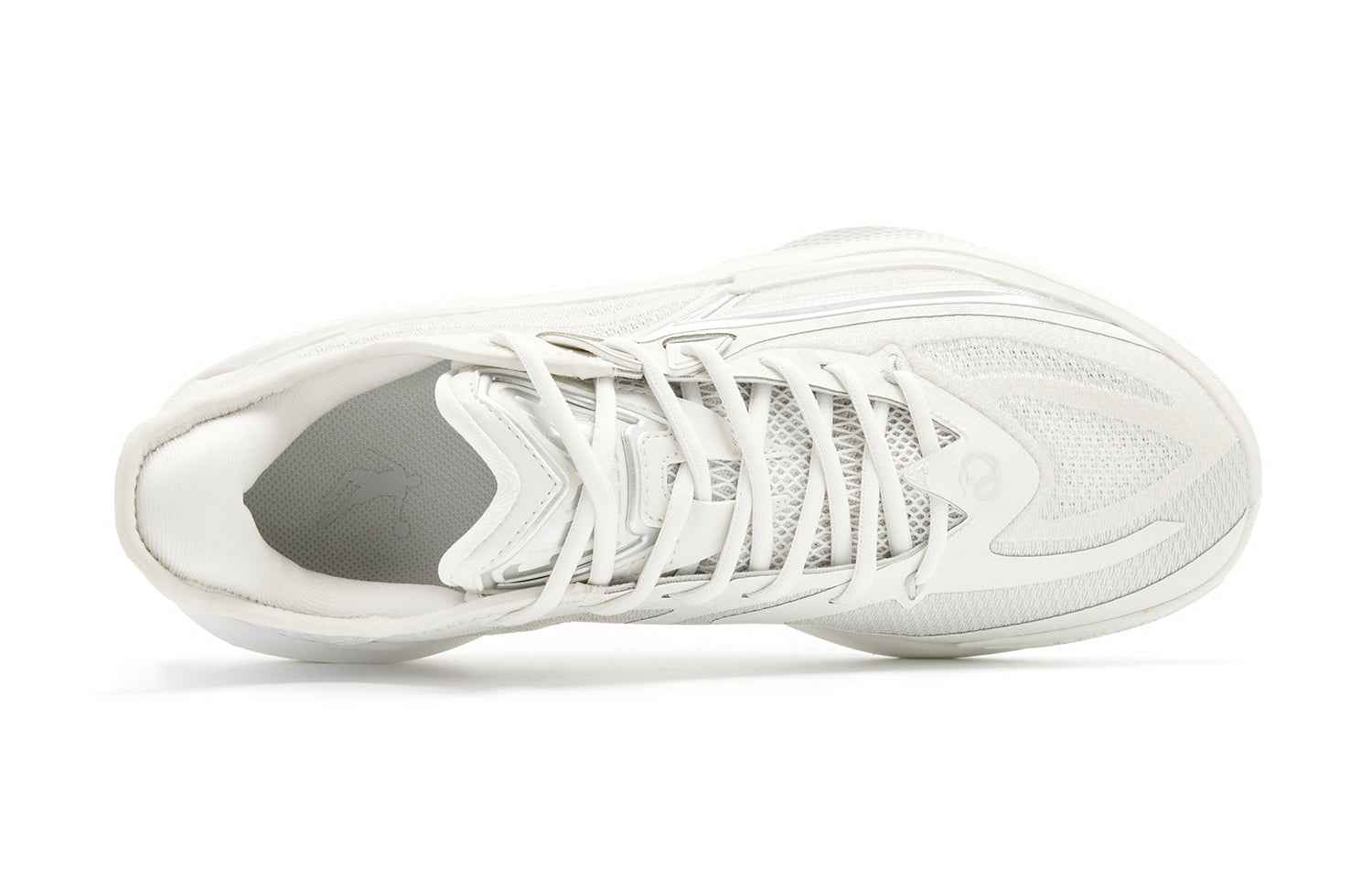 VENOM FANG 4.0 'White / Silver'