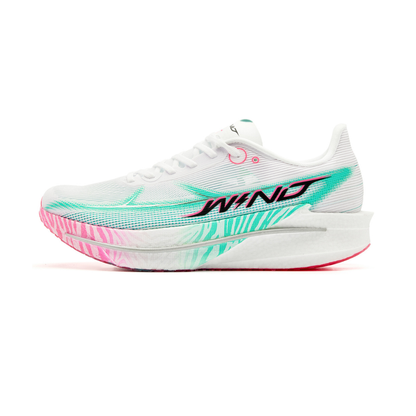 WIND 4.0 ‚Regenbogen-Zebra‘