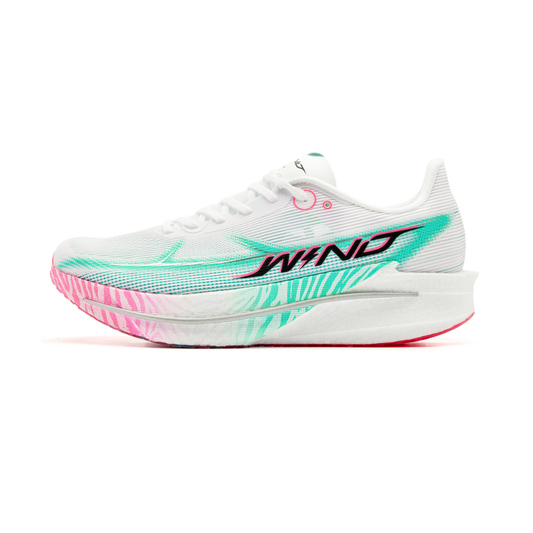 WIND 4.0 'Zèbre Arc-en-Ciel'