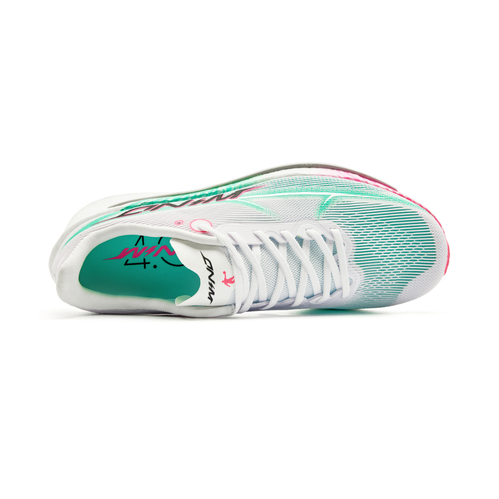 WIND 4.0 ‚Regenbogen-Zebra‘