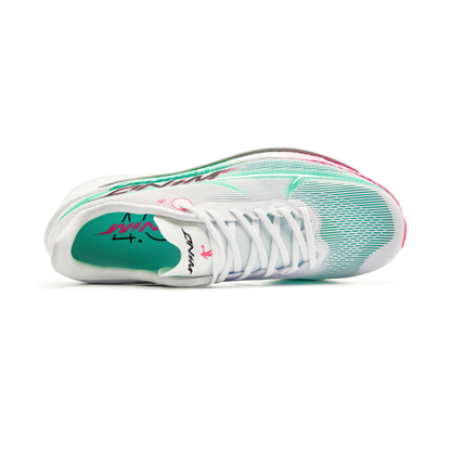WIND 4.0 ‚Regenbogen-Zebra‘