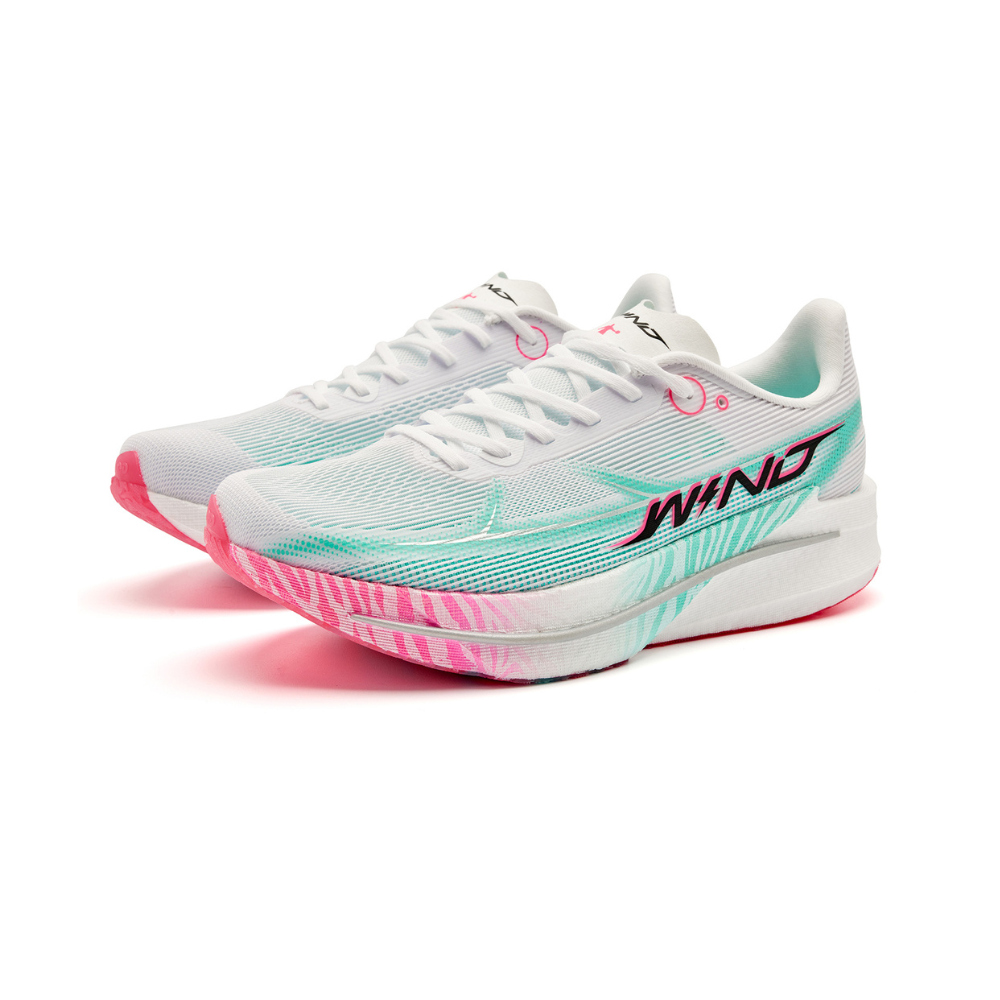 WIND 4.0 ‚Regenbogen-Zebra‘